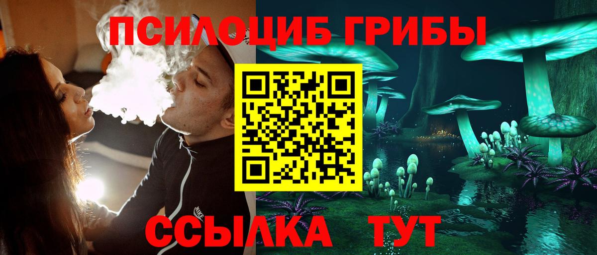 Галлюциногенные грибы Cubensis Людиново