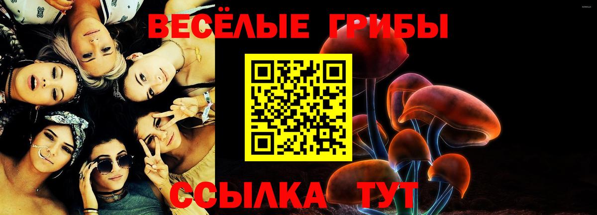 Людиново  Галлюциногенные грибы Magic Shrooms  Вход с VPN 