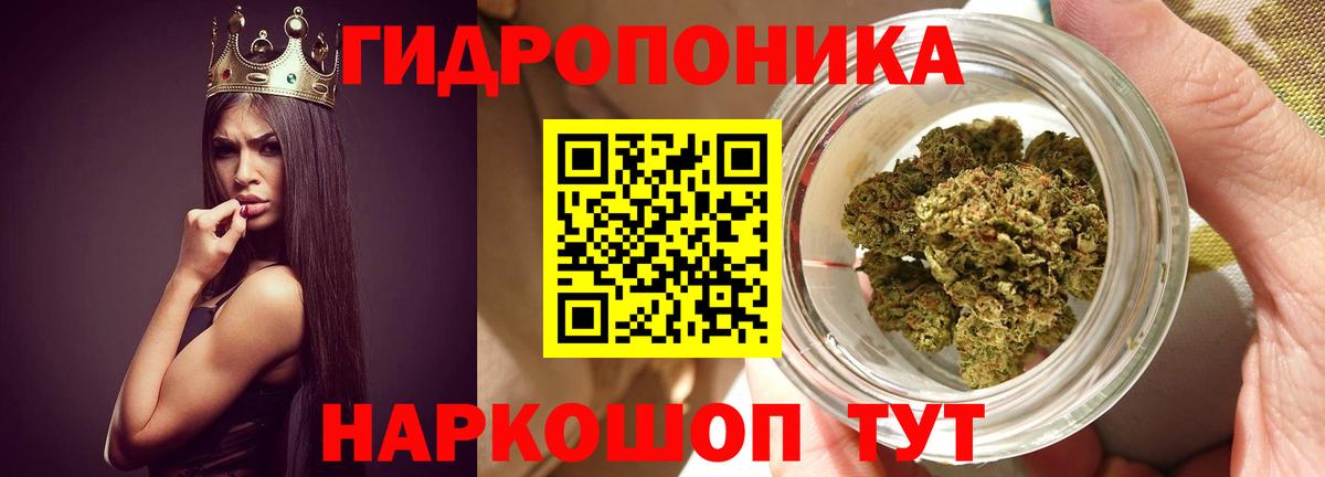 Бошки Шишки VHQ Людиново